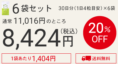 袋タイプ6袋セット